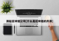 源起区块链公司[什么是区块链的开源]